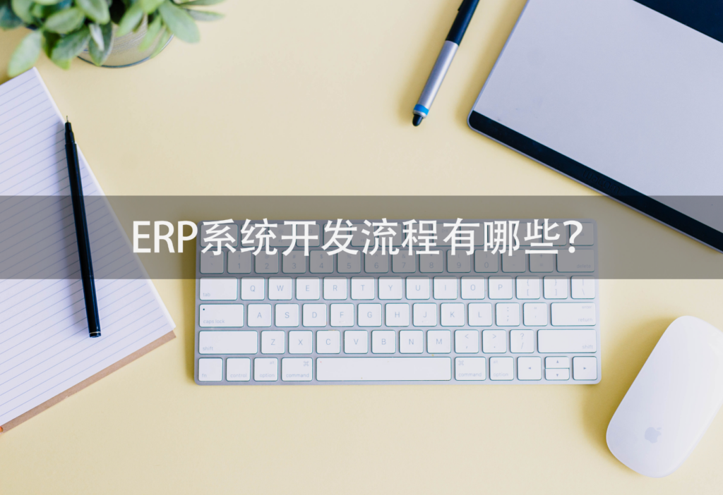 ERP开发,ERP软件开发,ERP应用