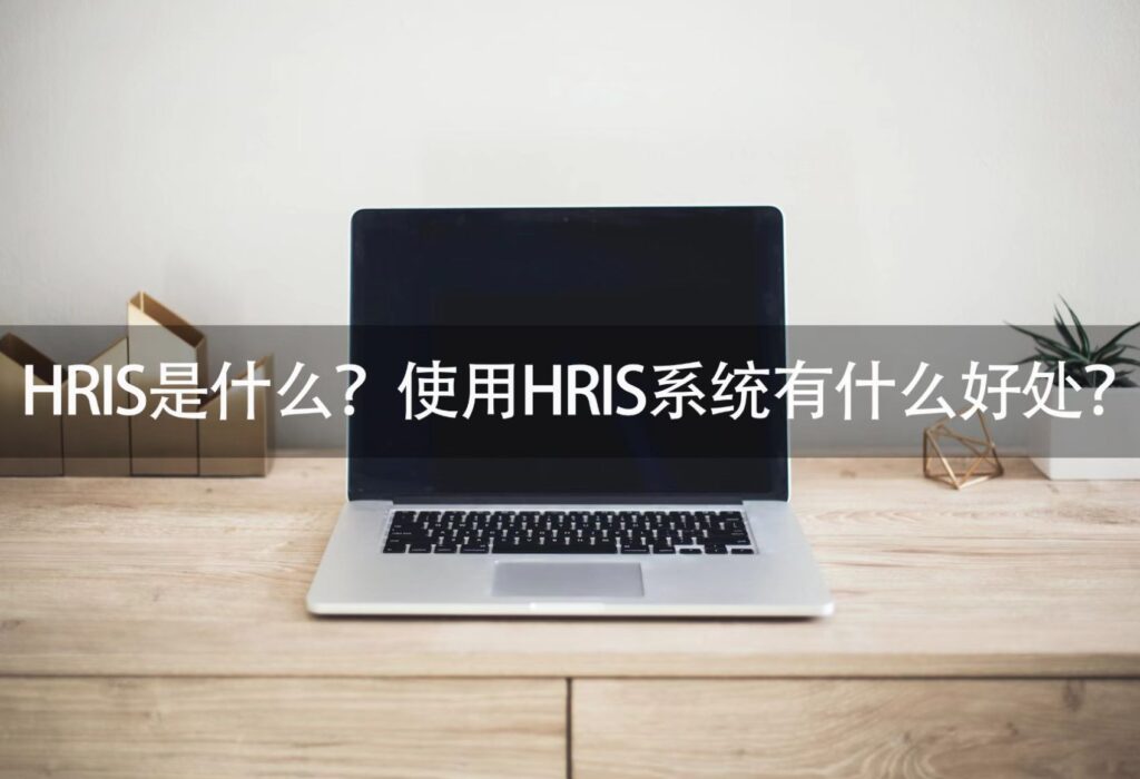 HRIS是什么,hris,人力资源信息系统