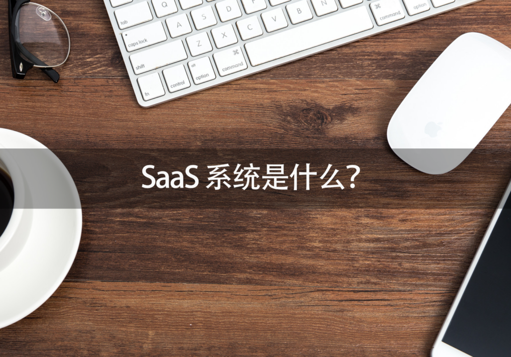 SaaS系统,SaaS系统是什么,软件即服务